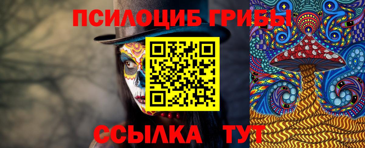 Галлюциногенные грибы Psilocybine cubensis  Вход с VPN  Санкт-Петербург 