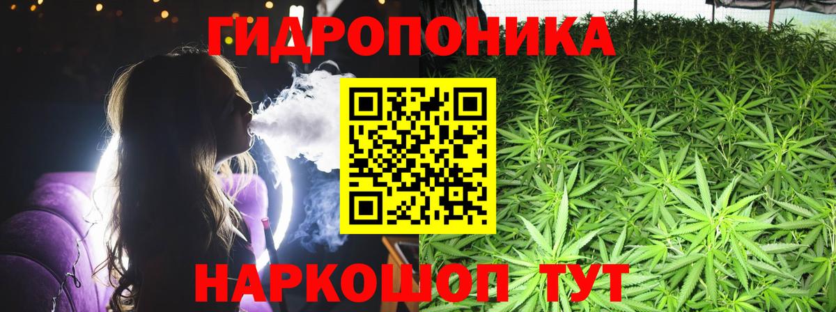 Конопля марихуана Санкт-Петербург